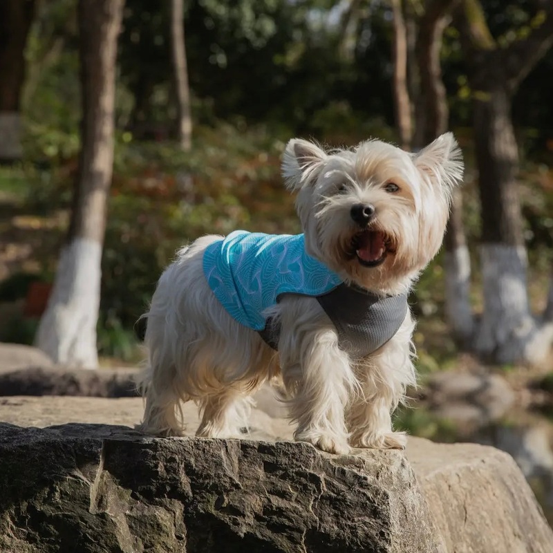 PEBOT Dobby Cooling Tee|S/10|S/12|M/14|M/16|L/18|L/20|XL/22|XL/24|XXL/26|Turquoise