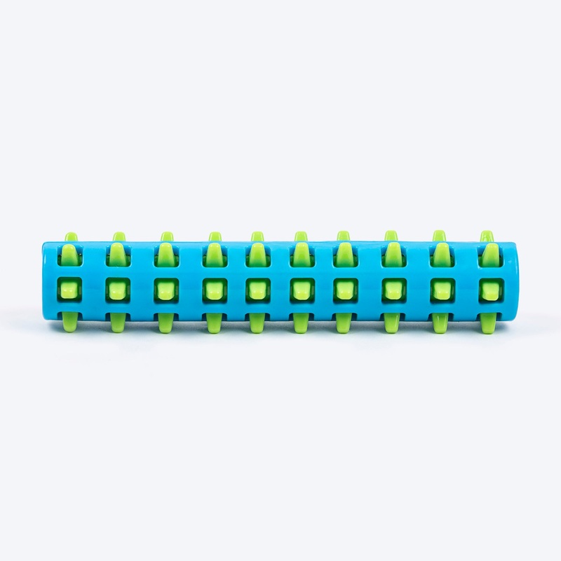 TLC SpikeRoll Chew Toy For Dog – Green & Blue