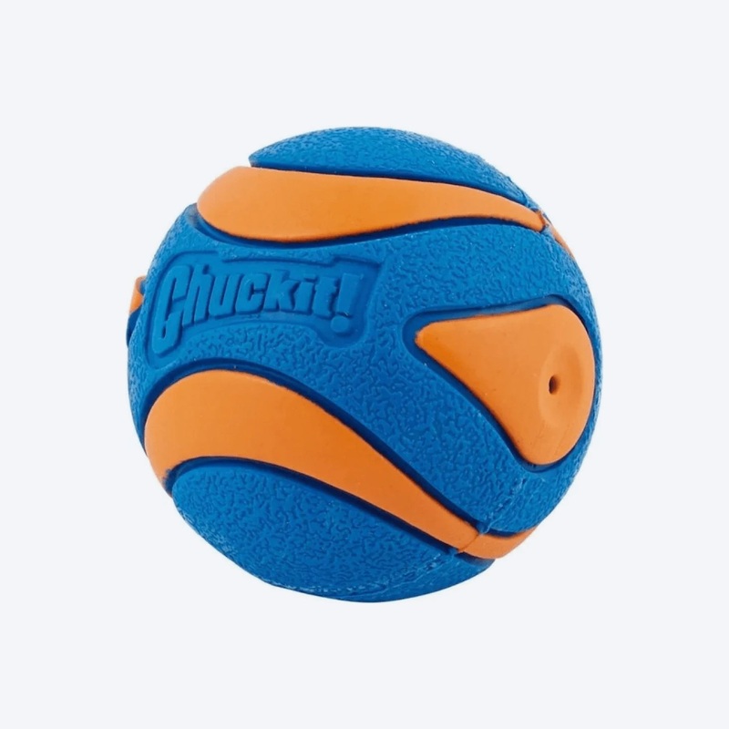 Chuckit! Ultra Squeaker Ball Dog Toy – Blue & Orange