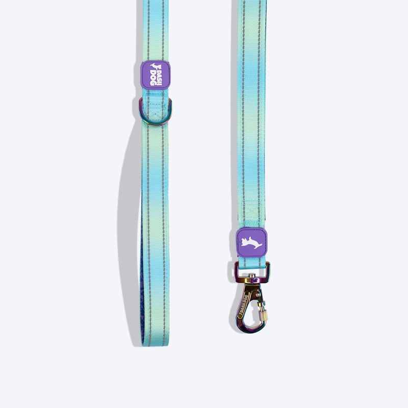 Dash Dog Ethernal Fade Dual Handle Leash For Dog – Aqua
