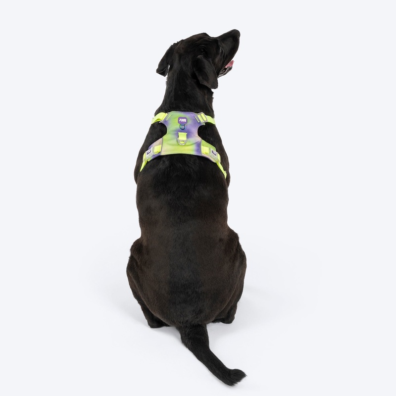 Dash Dog Neon Fusion Outdoor Ease Harness For Dog – Neon Green