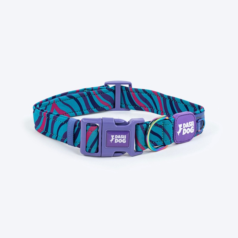 Dash Dog Ocean Breeze Padded Collar For Dog – Teal Blue