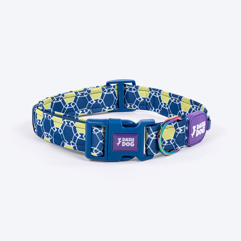 Dash Dog Wildcrest Padded Collar For Dog – Blue & Neon Green
