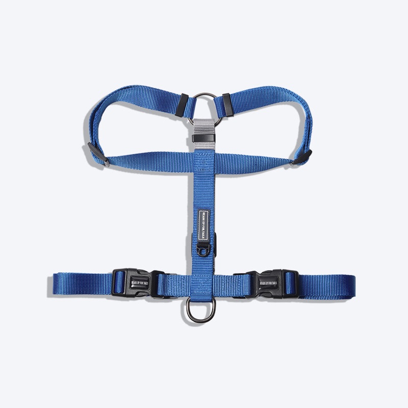 HUFT Essentials Nylon Dog H-Harness – Blue