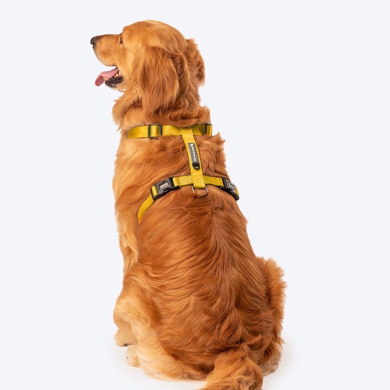 HUFT Essentials Nylon Dog H-Harness – Yellow