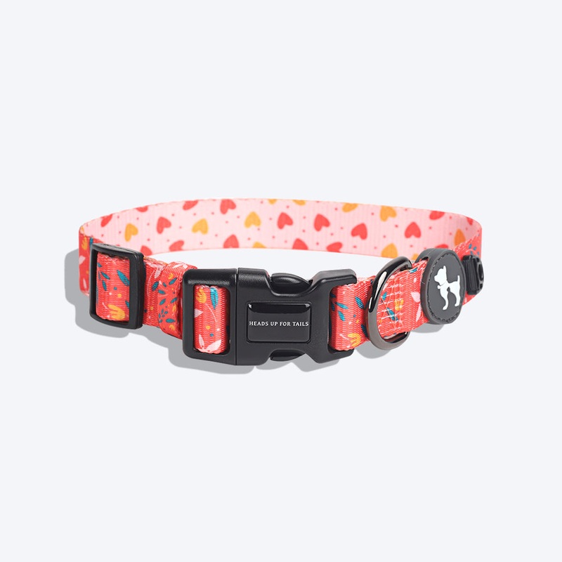 HUFT Summer Rapture Printed Dog Collar