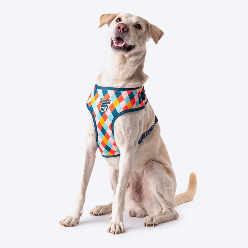HUFT Sunset Strokes Printed Dog Harness