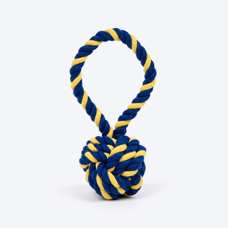 TLC Swinger Rope Toy For Puppies & Small Dog – Yellow & Blue