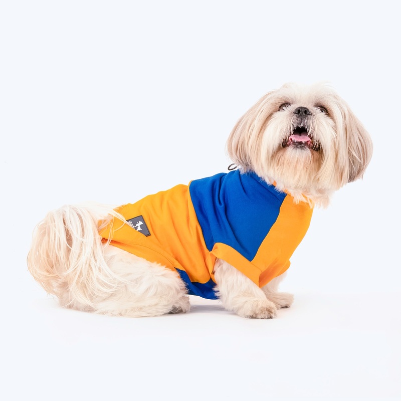 HUFT Breezy Boo Vest For Dogs – Yellow & Blue