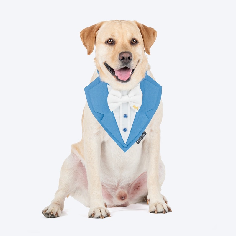 HUFT Gala Paws Tuxedo Bandana For Dog – Blue
