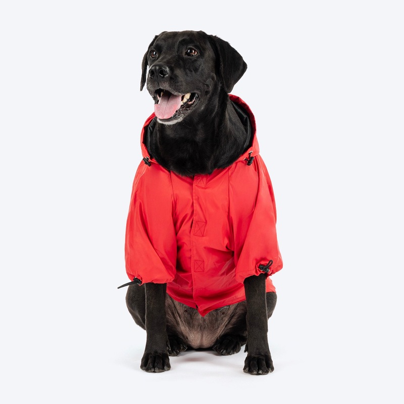 HUFT Magical Mist Raincoat With Harness Opening For Dog – Red