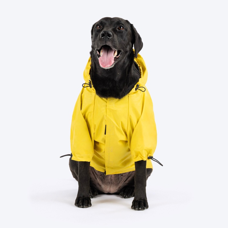 HUFT Magical Mist Raincoat With Harness Opening For Dog – Yellow