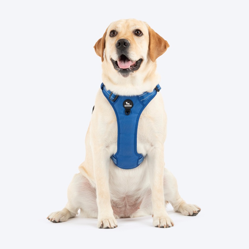 HUFT Xplorers Harness For Dog – Blue