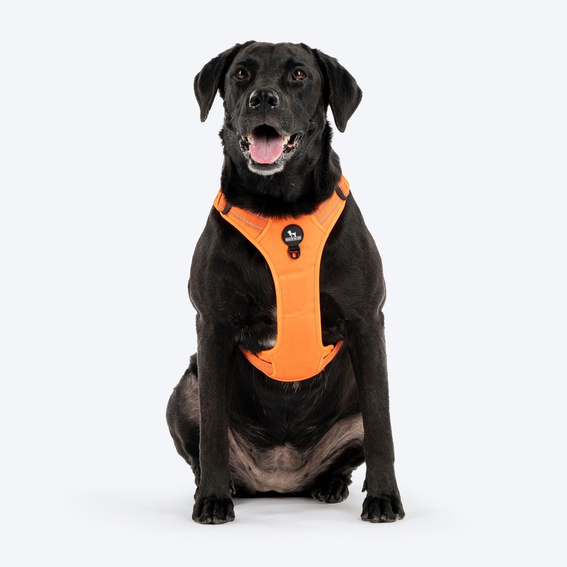 HUFT Xplorers Harness For Dog- Orange