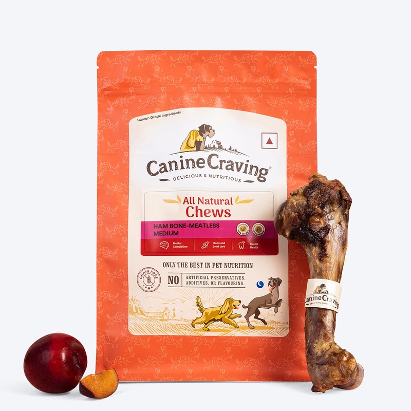 Canine Craving Dehydrated Ham Bone Chew – Meatless Ham Dog Treat – 1 Pc – 175 g