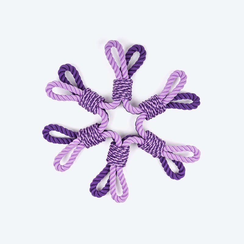 Dash Dog Sixer Trickster Rope Toy For Dog – Purple