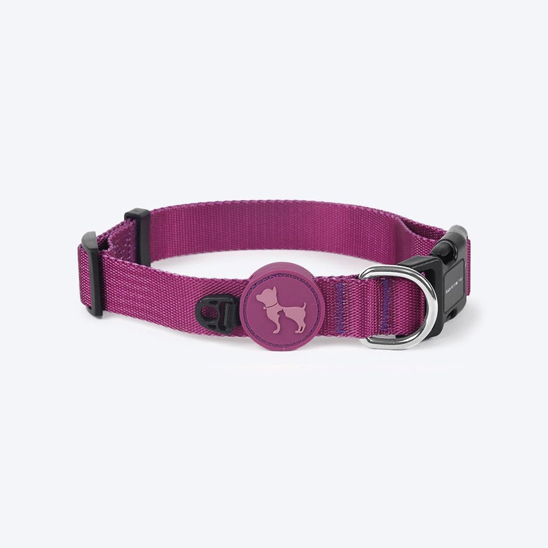 HUFT Classic Puppy Collar – XS – Purple