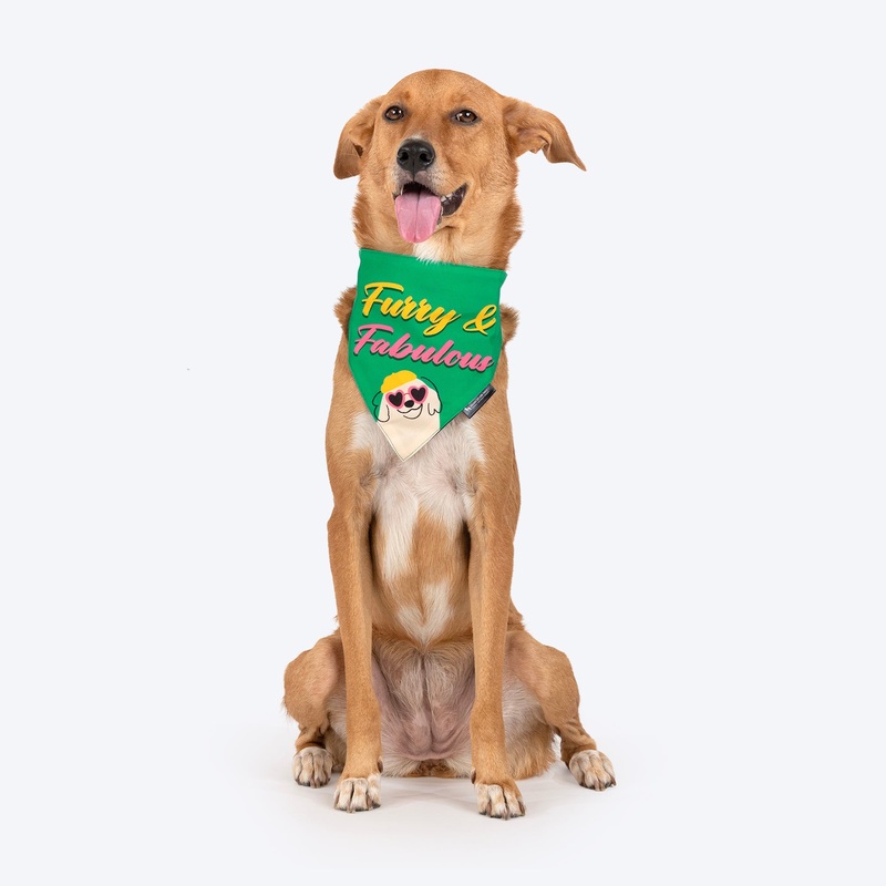 HUFT Furry & Fabulous Bandana For Dog – Green
