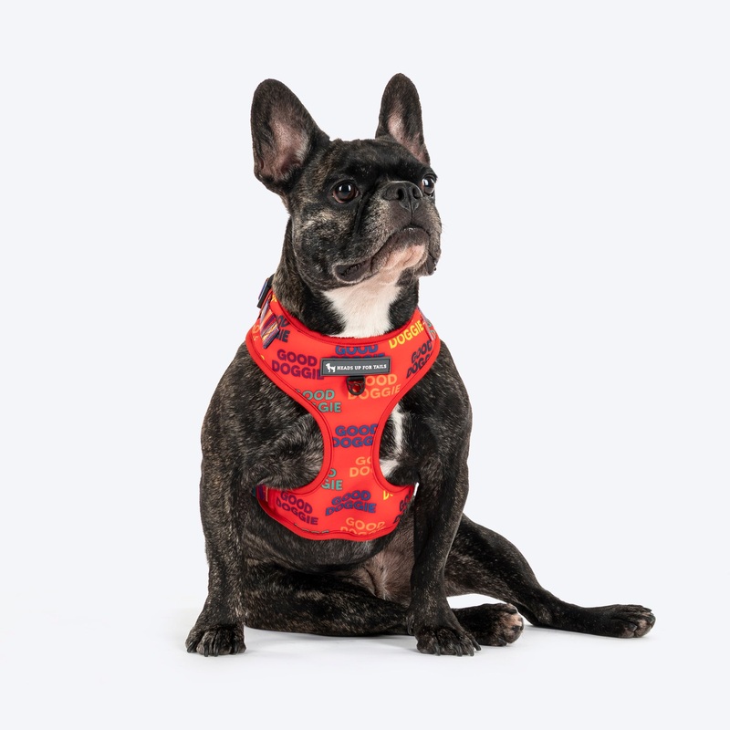 HUFT Good Doggie Adjustable Harness For Dog – Multicolor