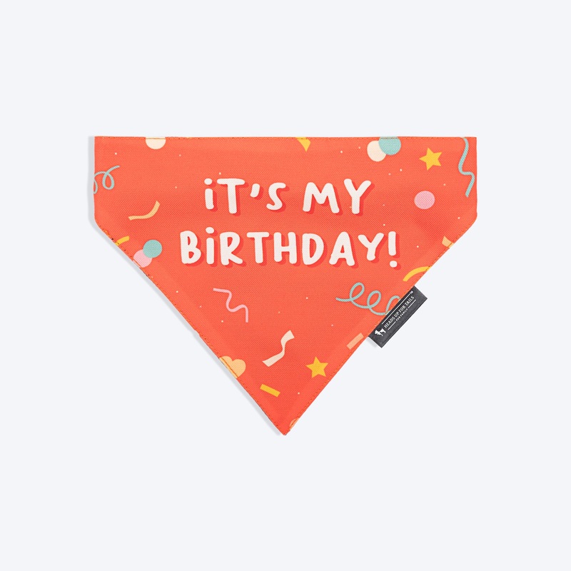 HUFT It’s My Birthday Bandana For Dog – Orange