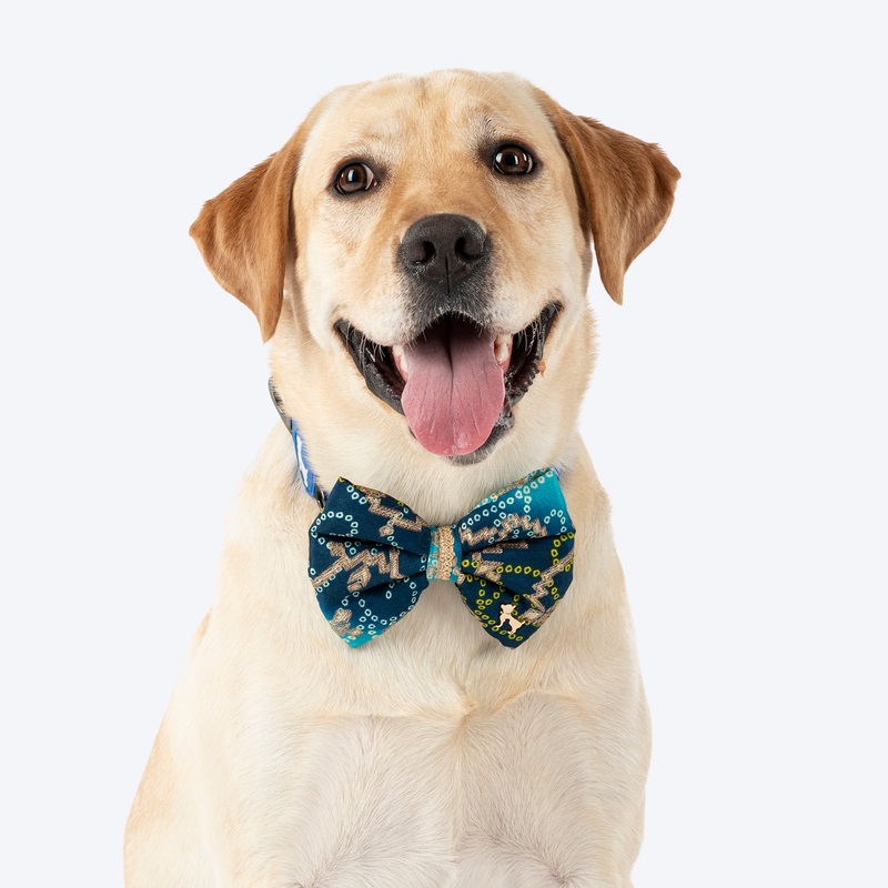 HUFT Noori Bow Tie For Dog – Blue