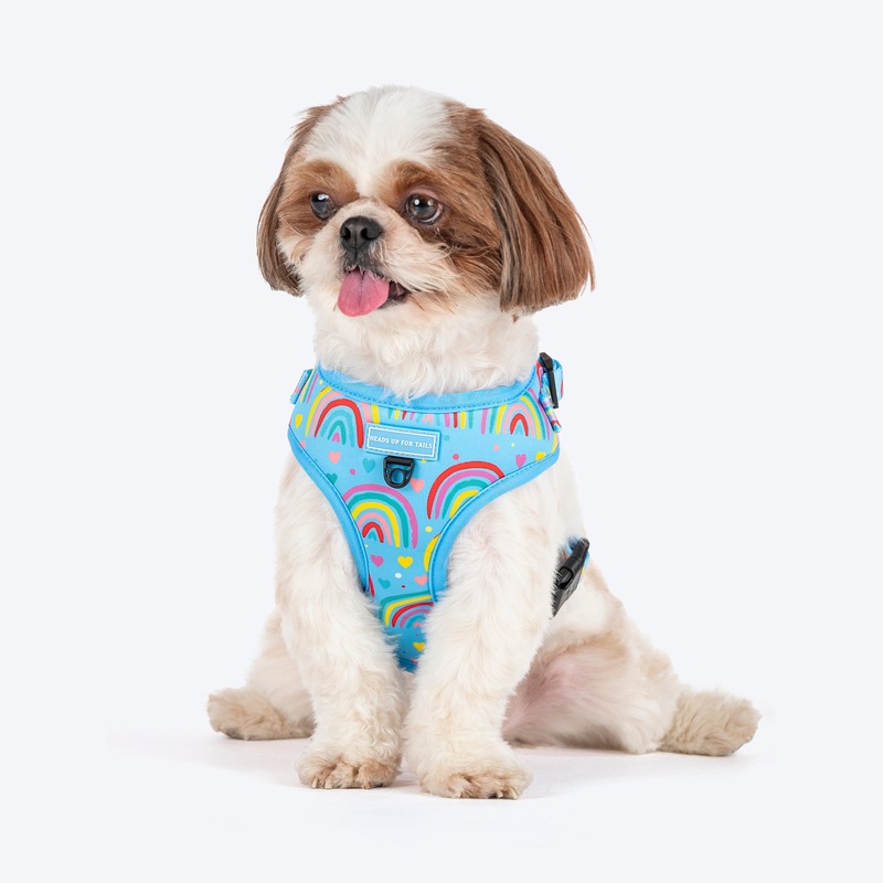 HUFT Over the Rainbow Adjustable Harness For Dog – Blue