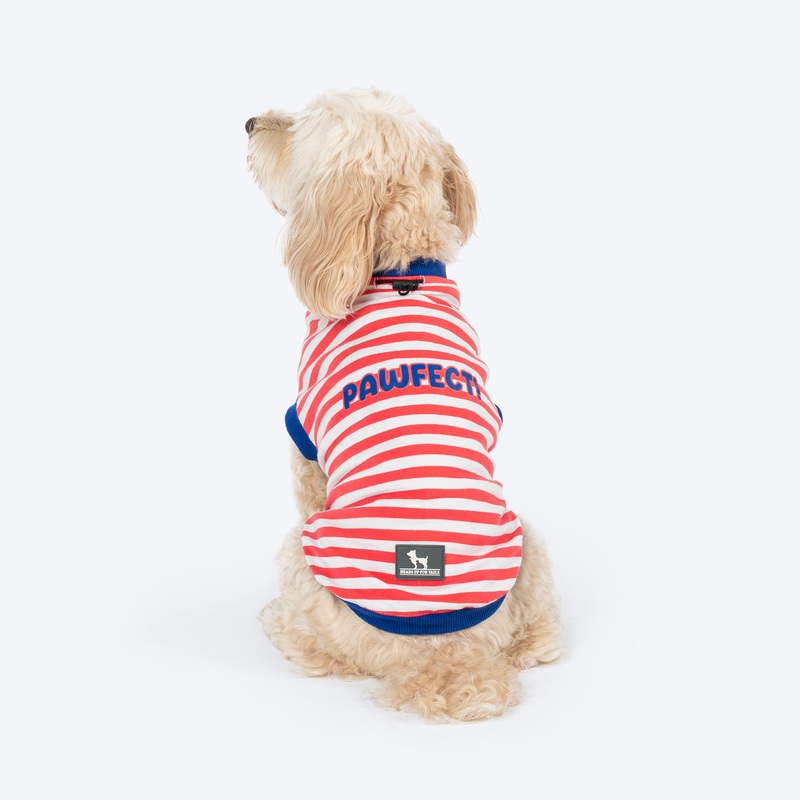 HUFT Pawfect Striped T-Shirt For Dog – Red & White