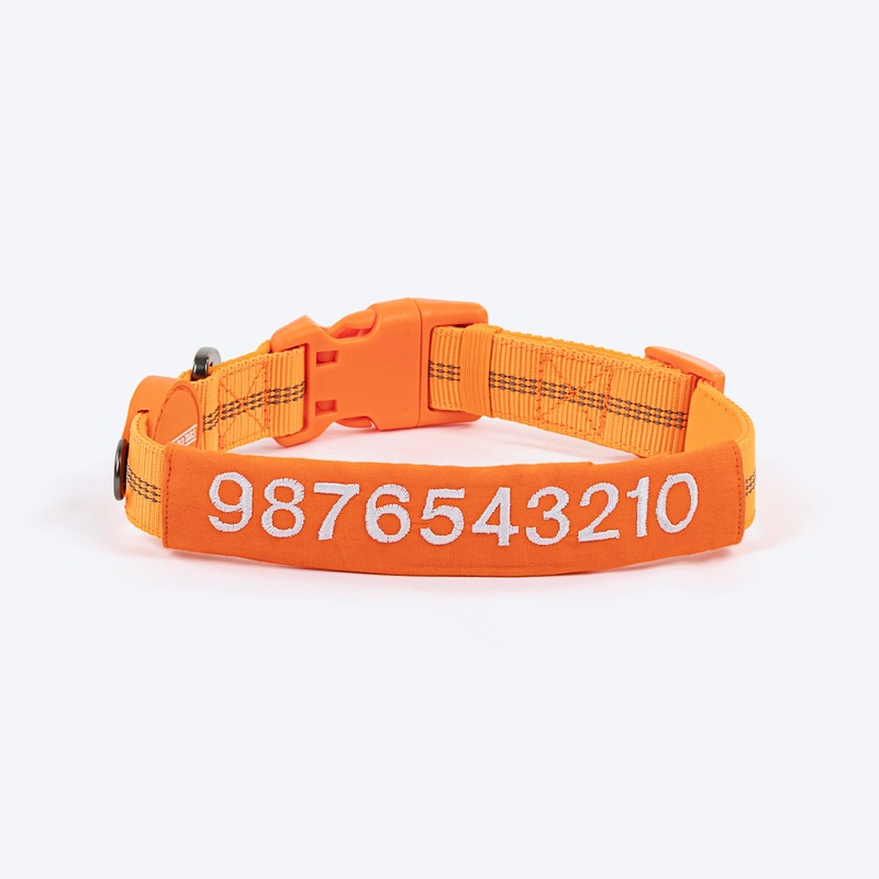 HUFT Personalised Xplorers (Mobile No.) Dog Collar – Orange