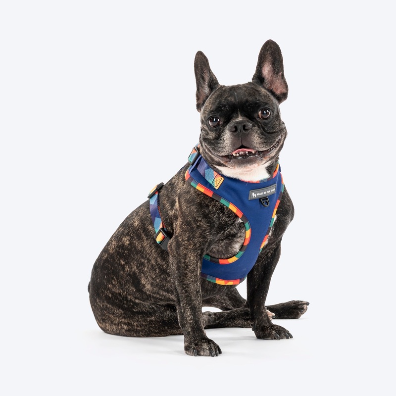 HUFT Technicolor Tartan Adjustable Harness For Dog – Multicolor