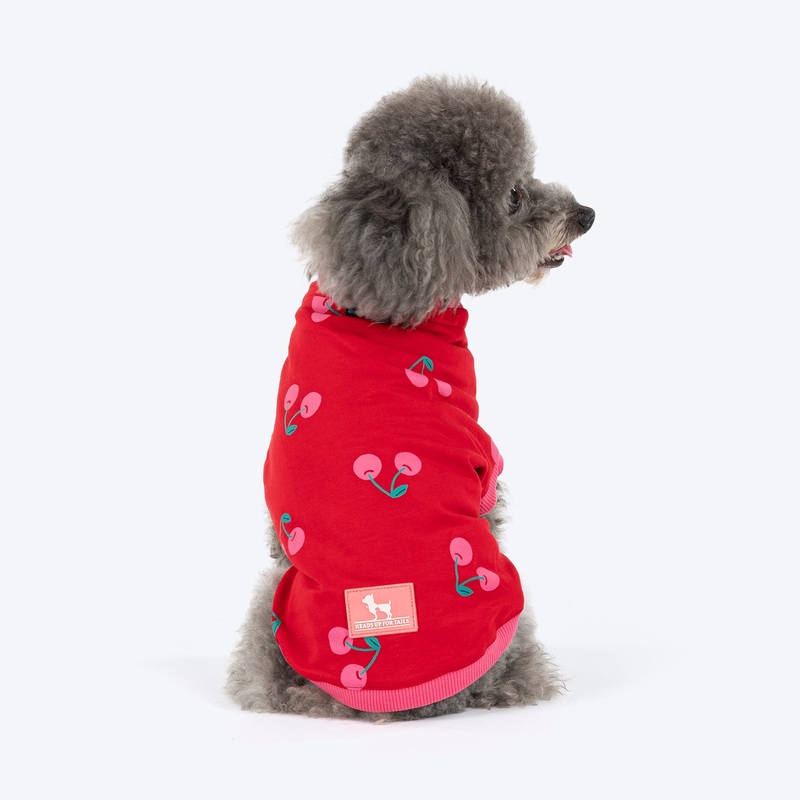 HUFT Cherry Pop Printed T-Shirt For Small Dog – Red