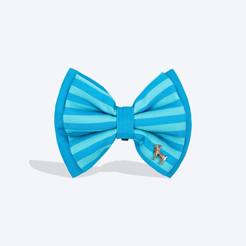 HUFT Happy Stripes Bow Tie For Dog – Blue & Turquoise