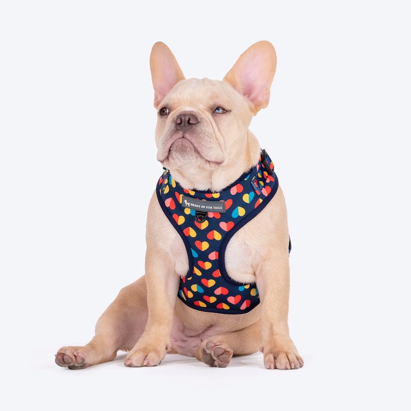HUFT Love Struck Adjustable Harness For Dog – Navy