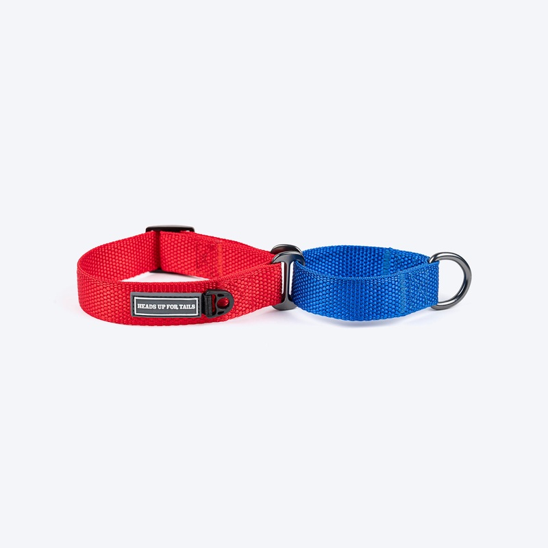 HUFT Martingale Collar For Dog – Crimson Red & Cobalt Blue