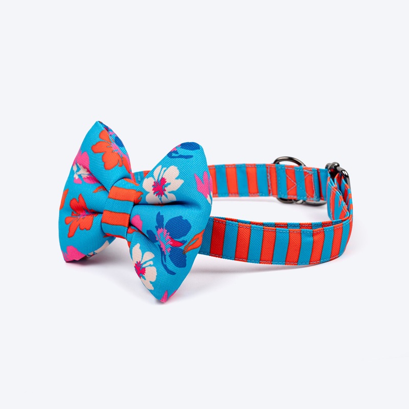 HUFT Summer Bloom Bow Tie With Collar For Dog – Blue