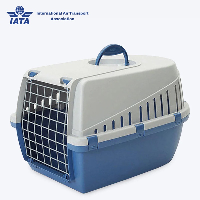 Savic Trotter 1 – Dog & Cat Carrier – Atlantic Blue – 19 x 13 x 12 inch – Holds up to 5 kg