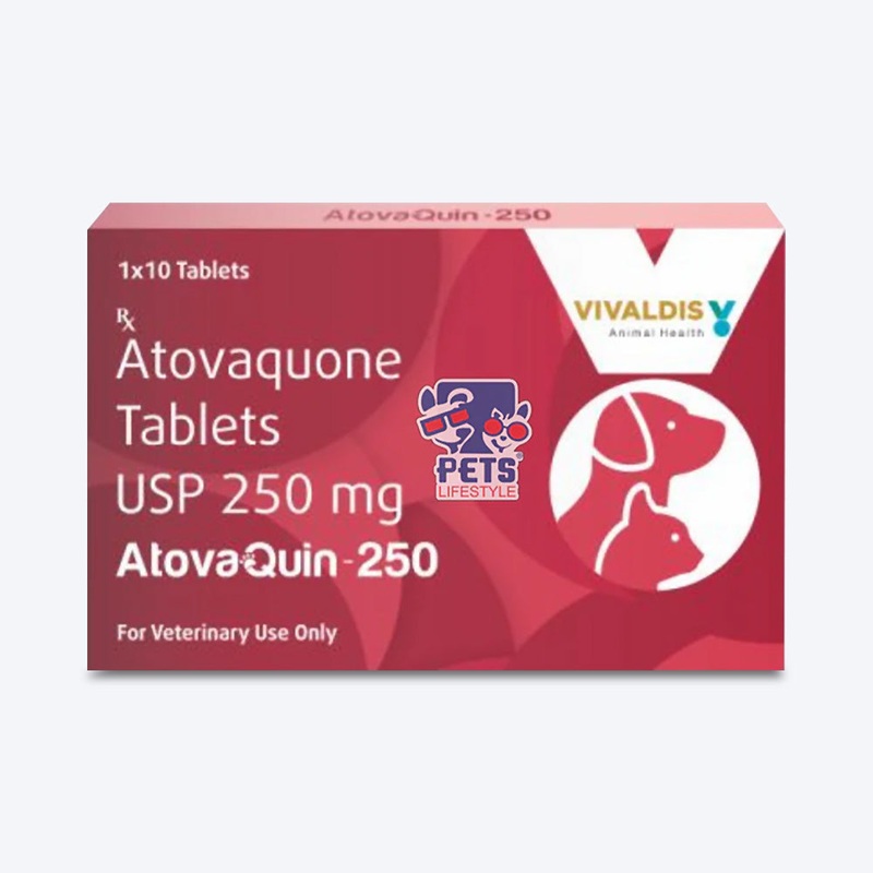 Vivaldis Atovaquin Antiprotozoal Tablets 250 mg For Dog & Cat – 10 Tablets