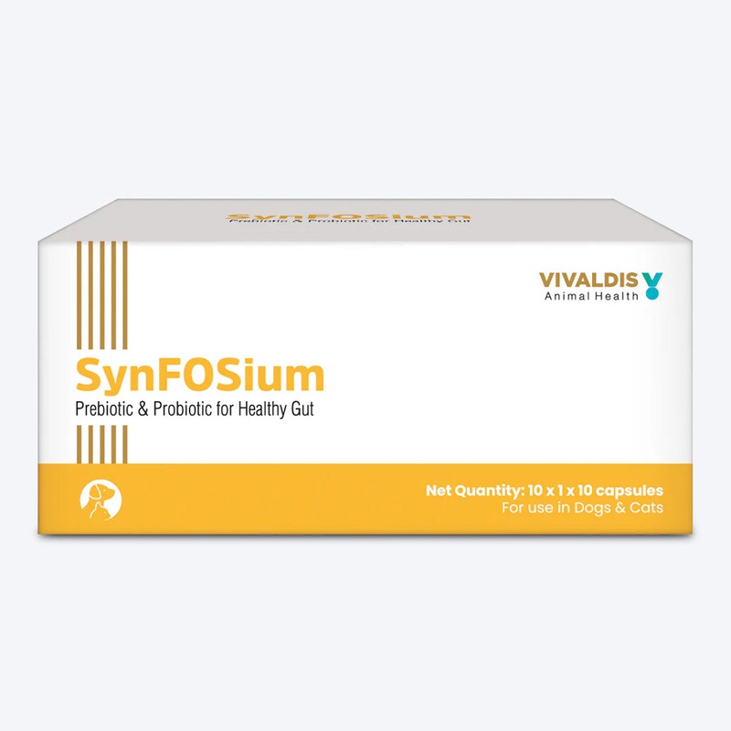 Vivaldis RX Synfosium Capsules For Dog & Cat – 10×10 Caps