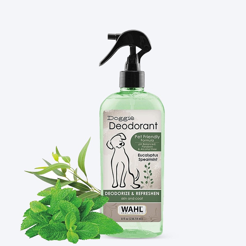 Wahl Doggie Deodorant – Eucalyptus & Speamint – 237ml