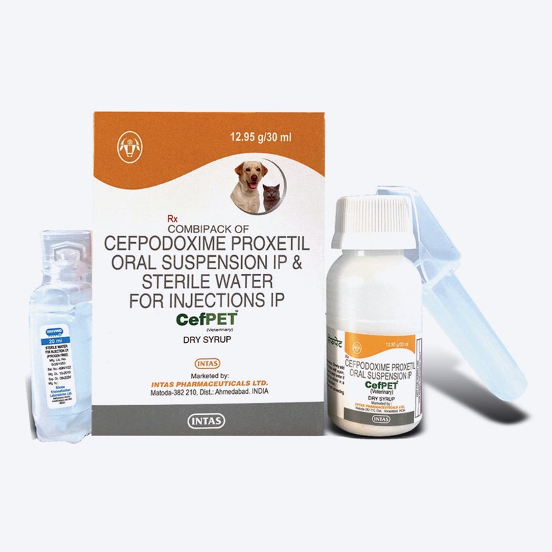 Intas Pet Cefpet (DS) Syrup For Dog & Cat – 30 ml
