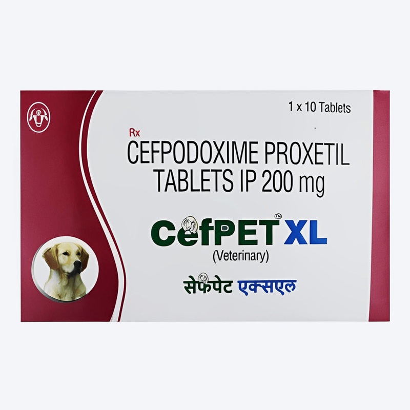 Intas Pet Cefpet XL Tablets 200 mg For Dog & Cat – 10 Tablets