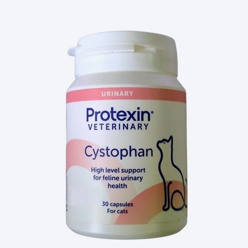 Scientific Remedies Cystophan Urinary Health Support For Cat – 30 Capsules