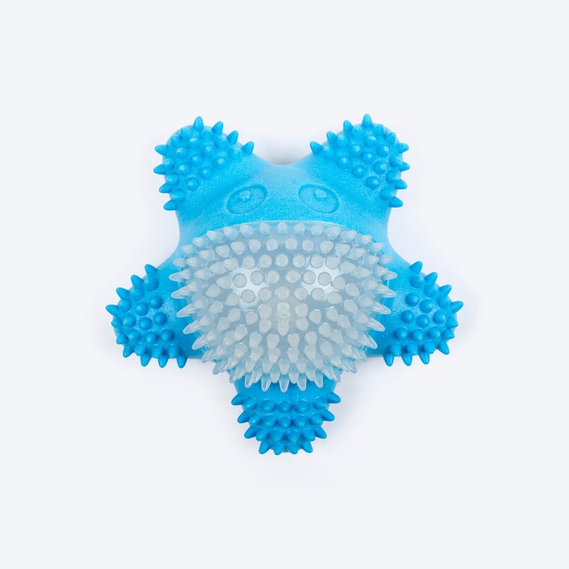 Dash Dog Glowy Starfish Squeaky Chew Toy For Dog – Blue