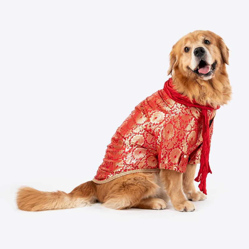 HUFT Customised Shahi Pawloom Brocade Kurta With Dupatta For Dog – Red