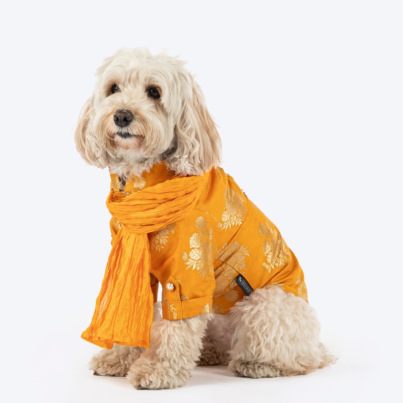 HUFT Customised Woofy Zari Glow Brocade Kurta With Dupatta For Dog – Yellow