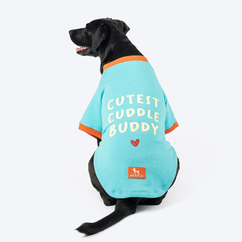 HUFT Cutest Cuddle Buddy Sweatshirt For Big Dog – Teal
