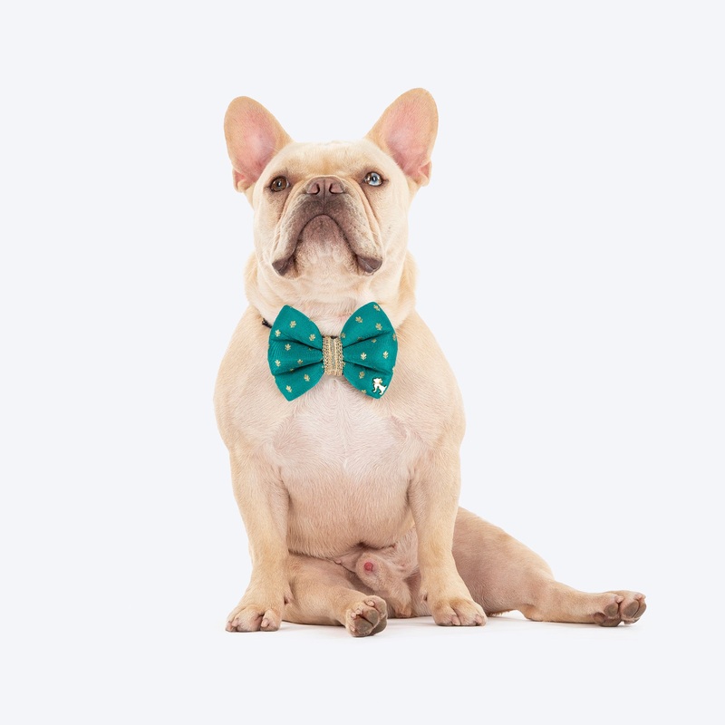 HUFT Desi Dazzle Bow Tie For Dog – Green