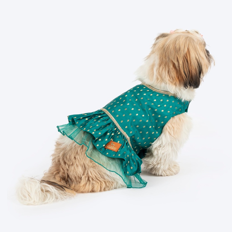HUFT Desi Dazzle Dress For Dog & Cat – Green