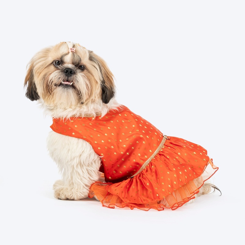 HUFT Desi Dazzle Dress For Dog & Cat – Orange