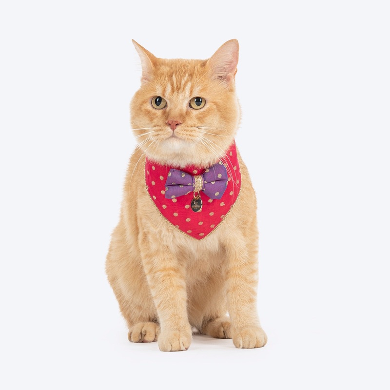 HUFT Desi Glam Bow Scarf For Cat & Puppy – Pink & Purple