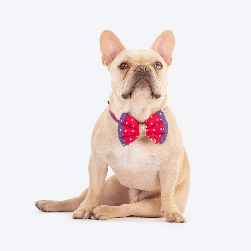 HUFT Desi Glam Bow Tie With Strap For Dog – Pink & Purple